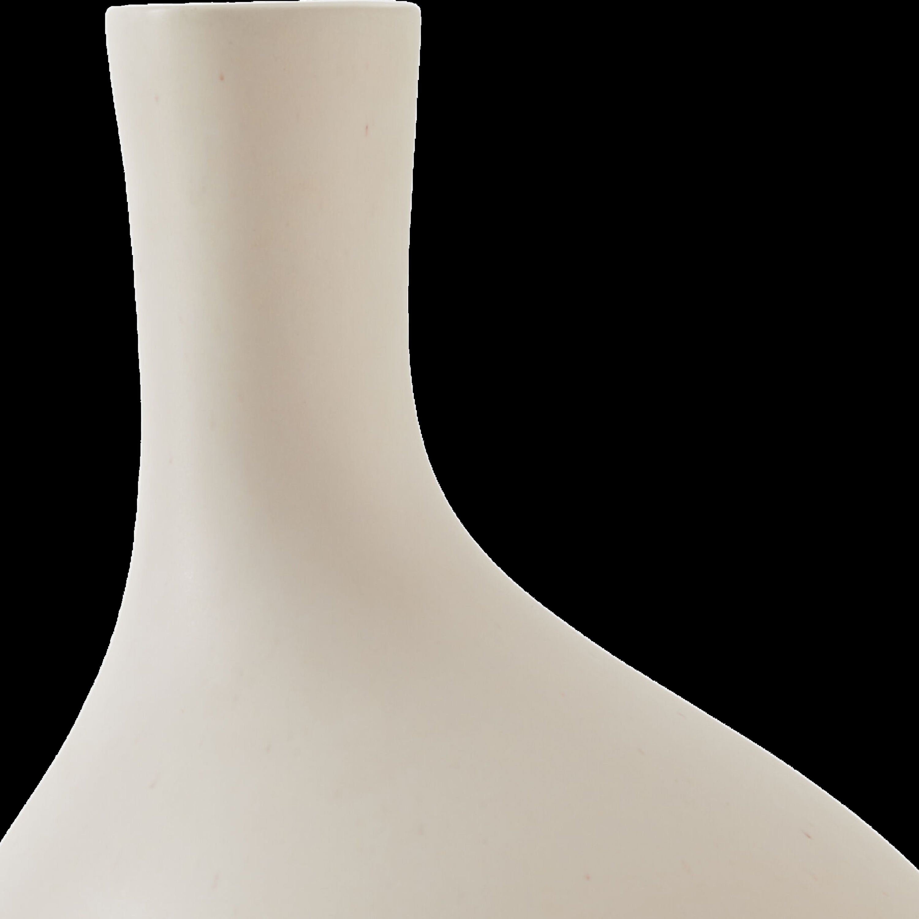 Organic Curve Vase