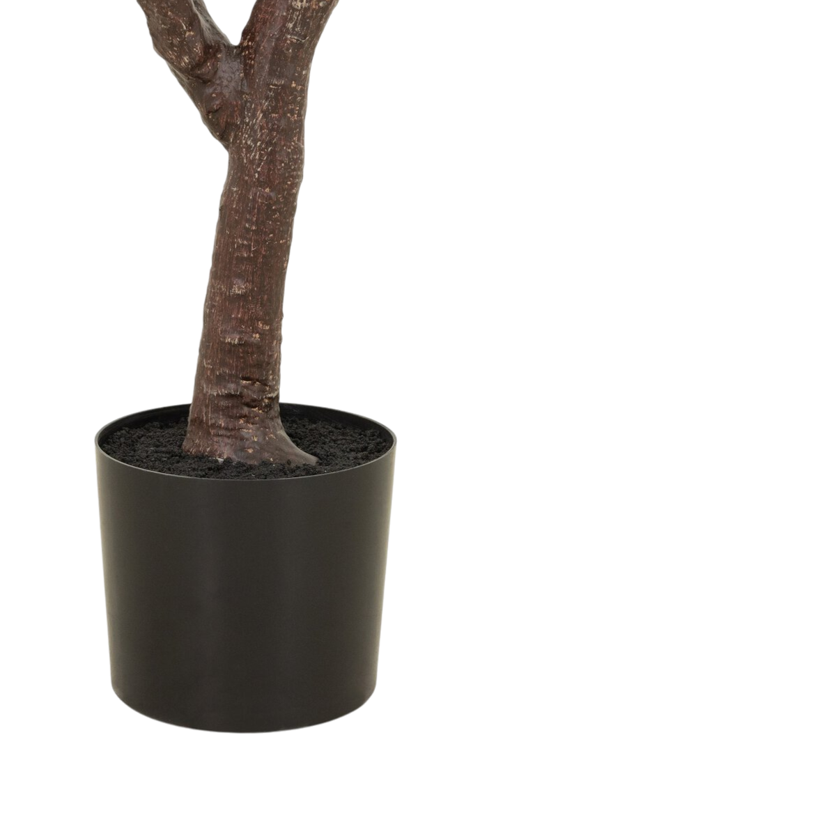 7' Fiddle Leaf Tree