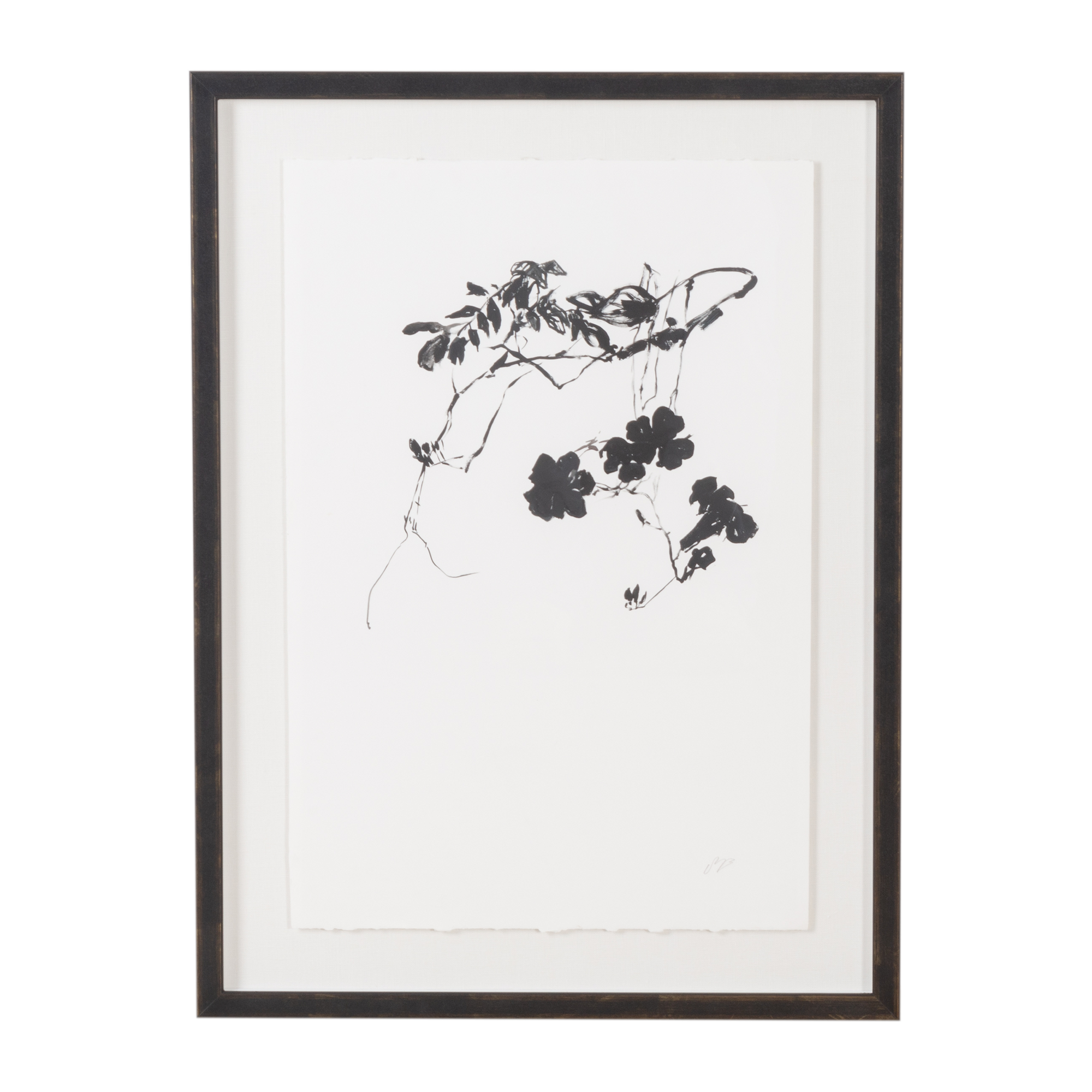 Silhouettes Of Nature I