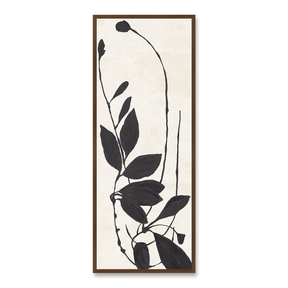 Flora Contour I