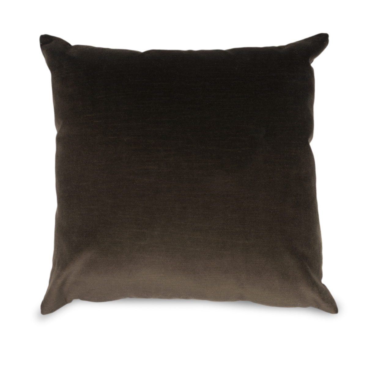 Solid Velvet Pillow