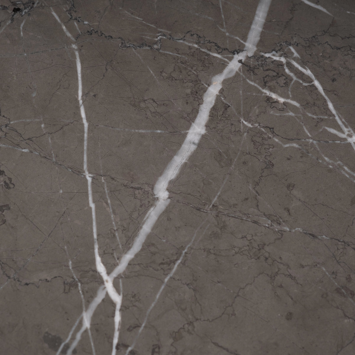 Aldo Dining Table close-up showing warm gray Petra Grey marble crossed by bold white veins and fine darker tracery on a honed surface.