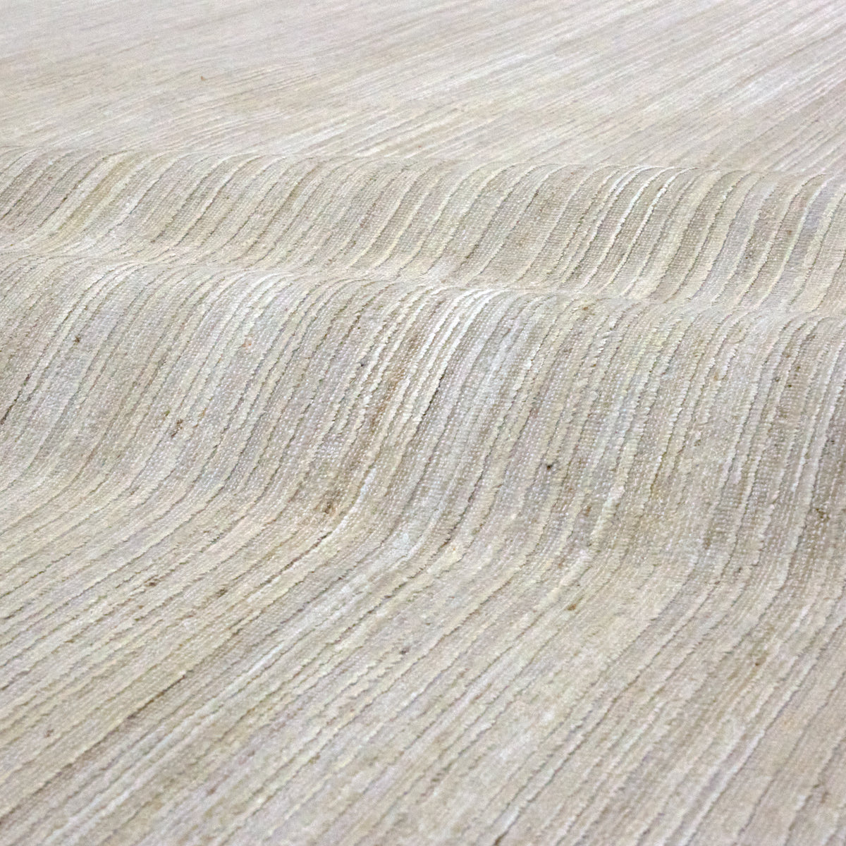 Saccas Ivory