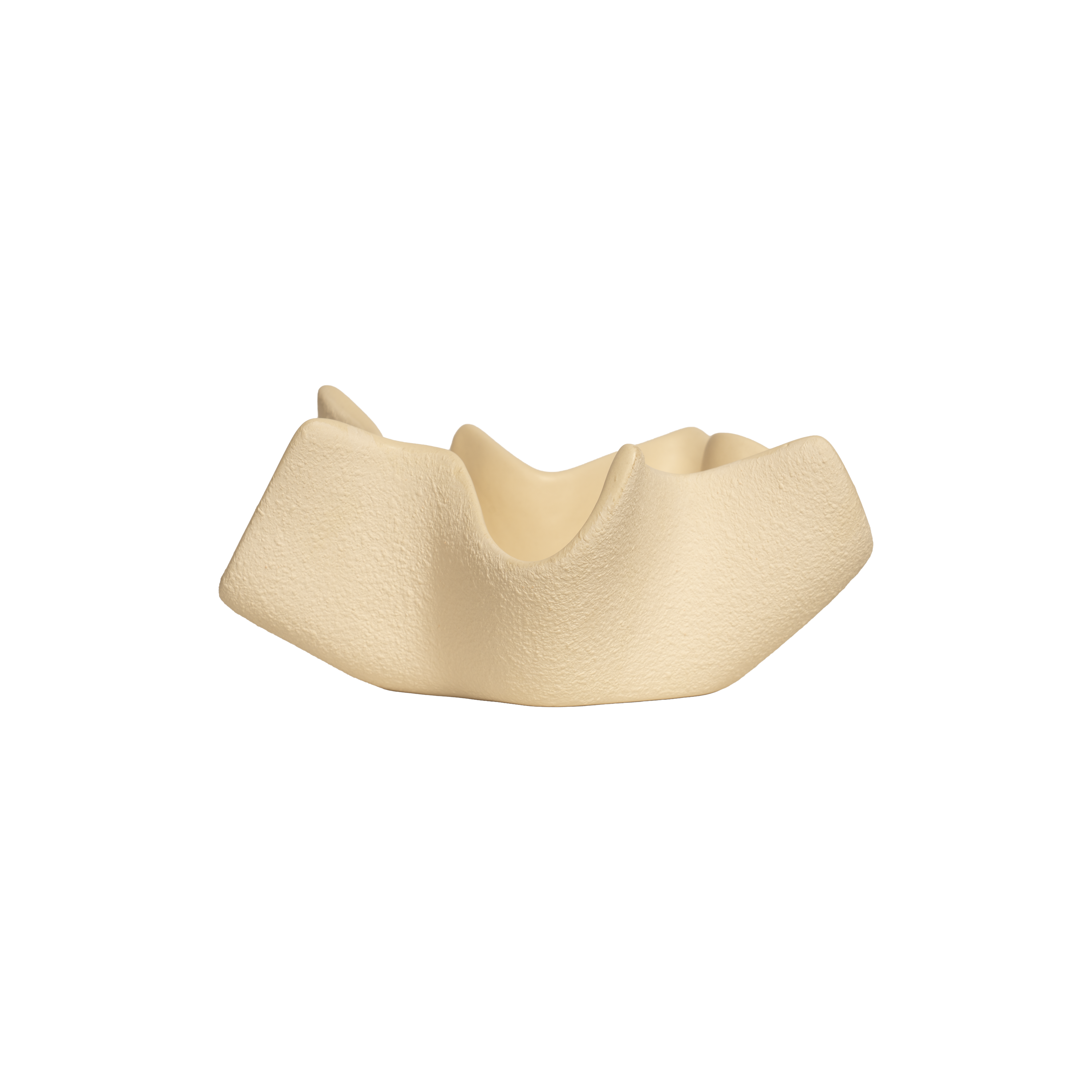 Joy Catchall