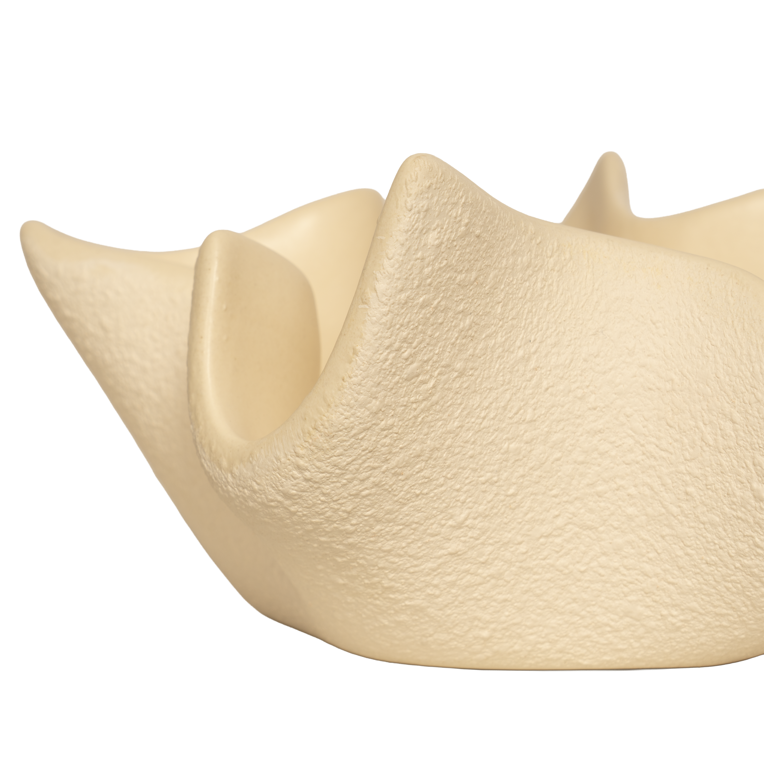 Joy Catchall