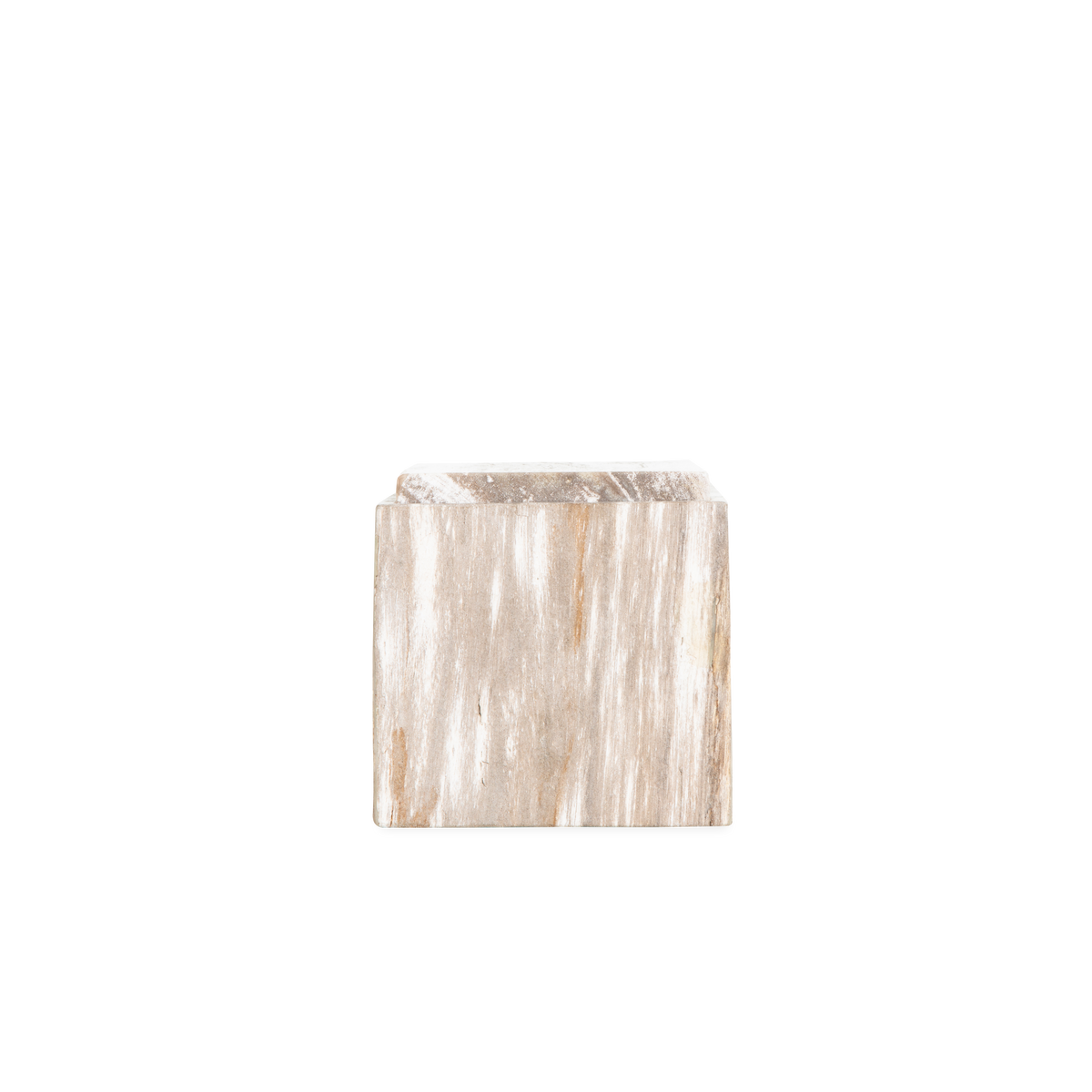 Petrified Wood Box