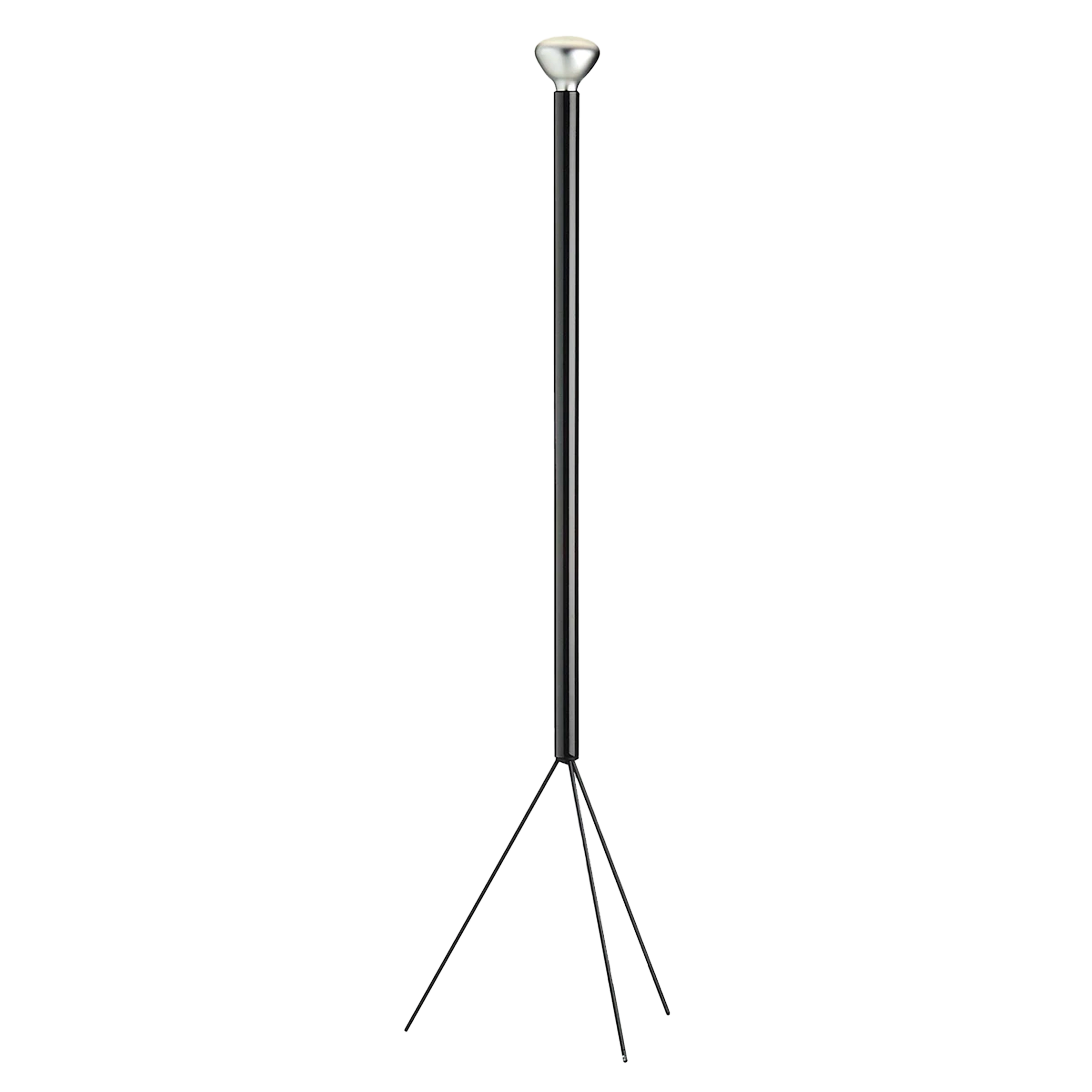 Luminator Floor Light