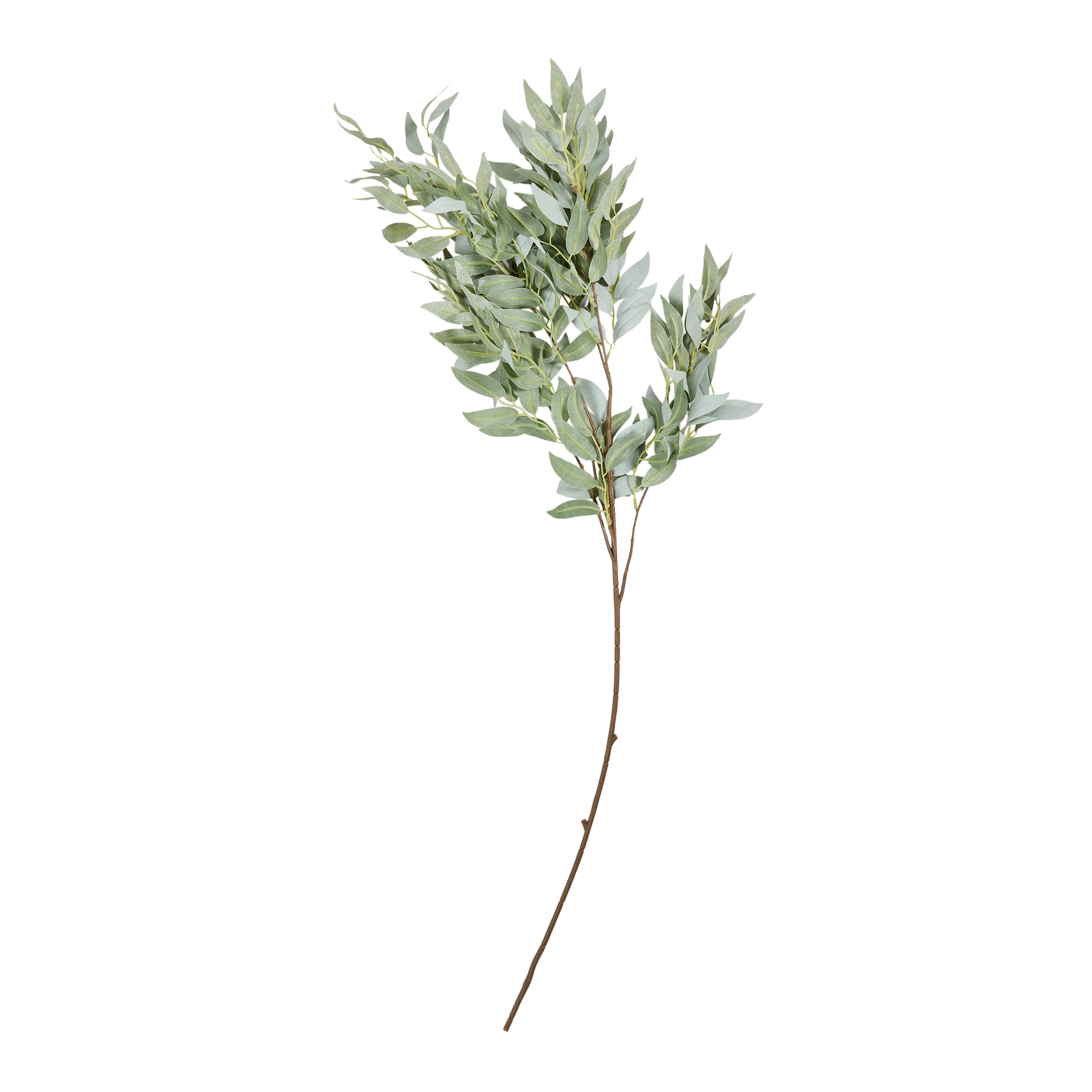 Willow Stem