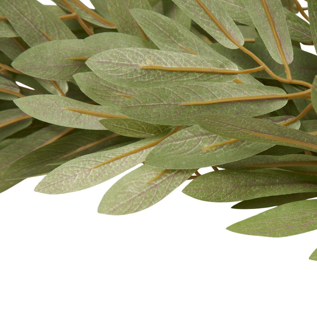 Soft Willow Stem