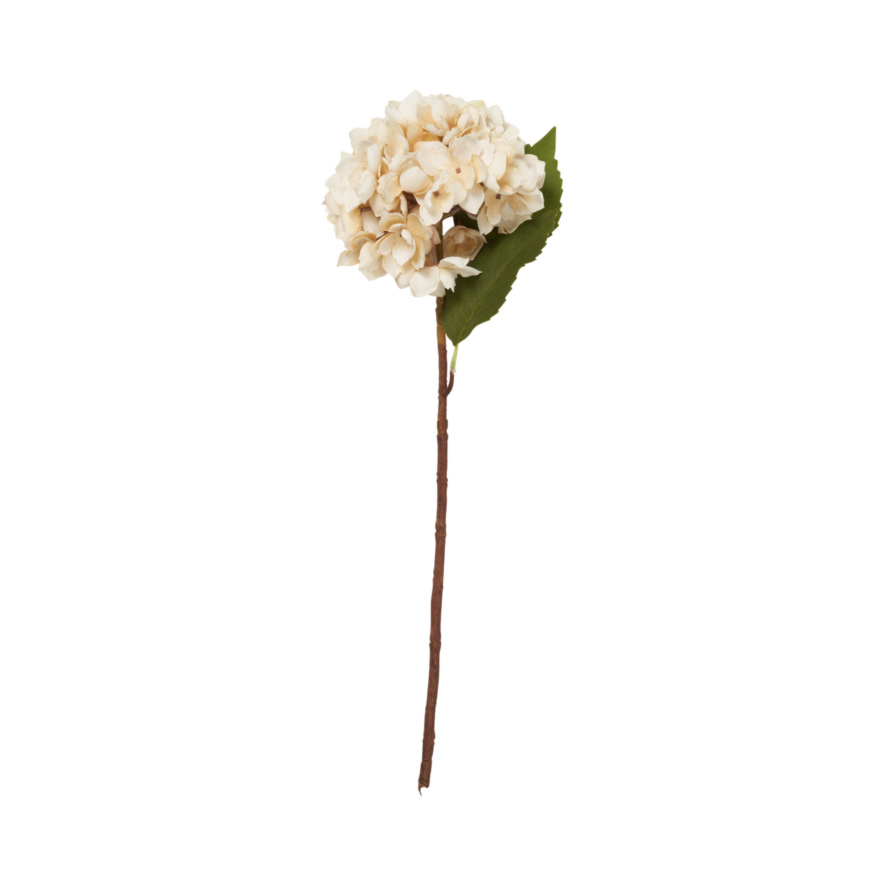 Morning Mist Hydrangea Stem