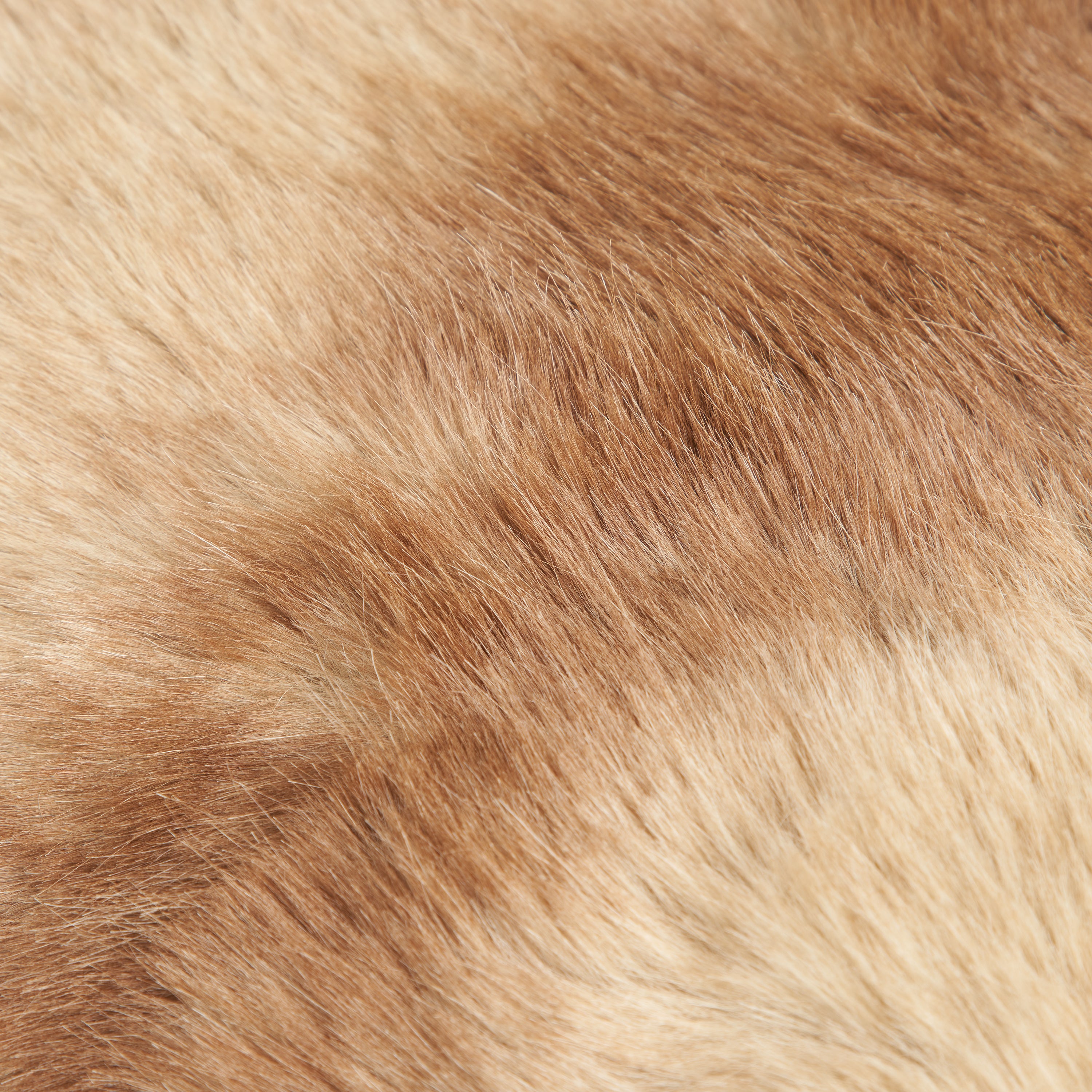 Jumbo Faux Fur Blanket