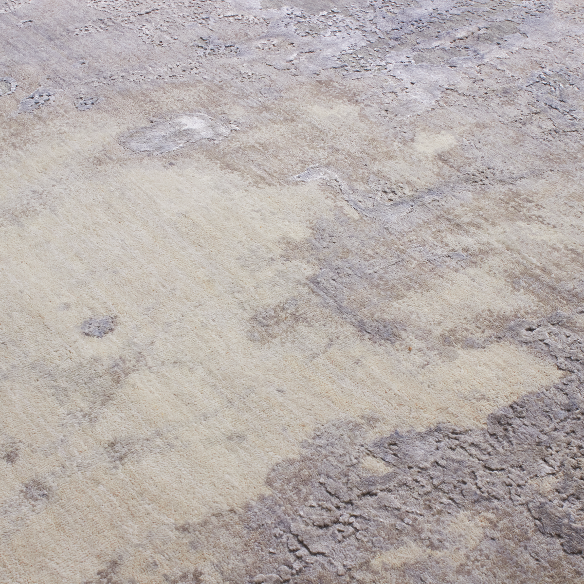 Roman Ram Grey Scale