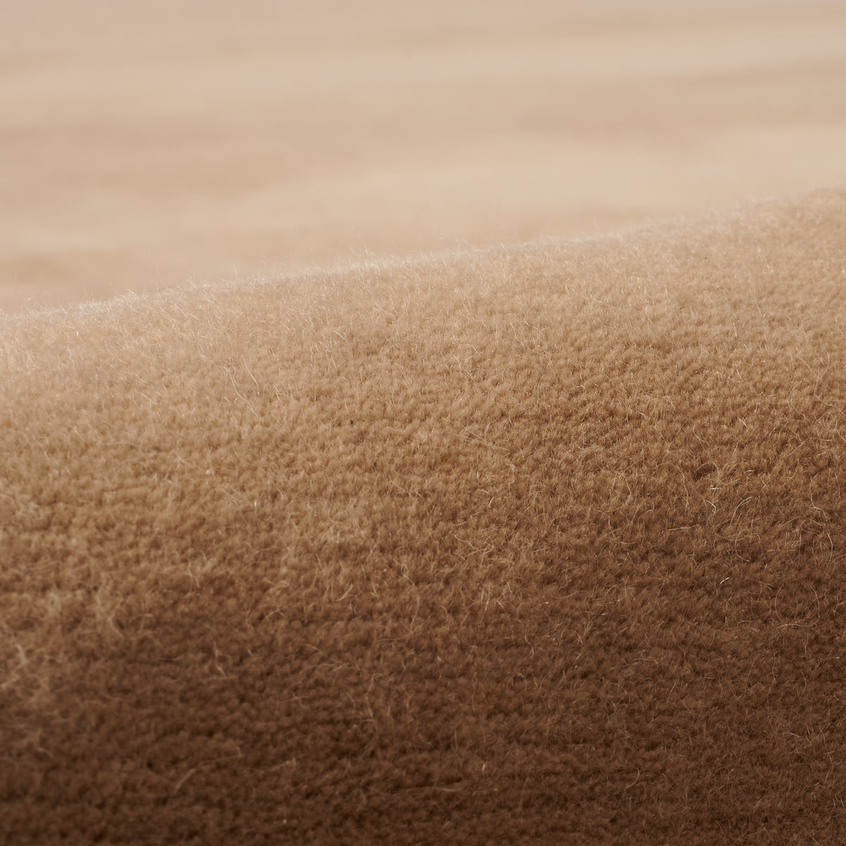 Jesinia Ivory/Taupe