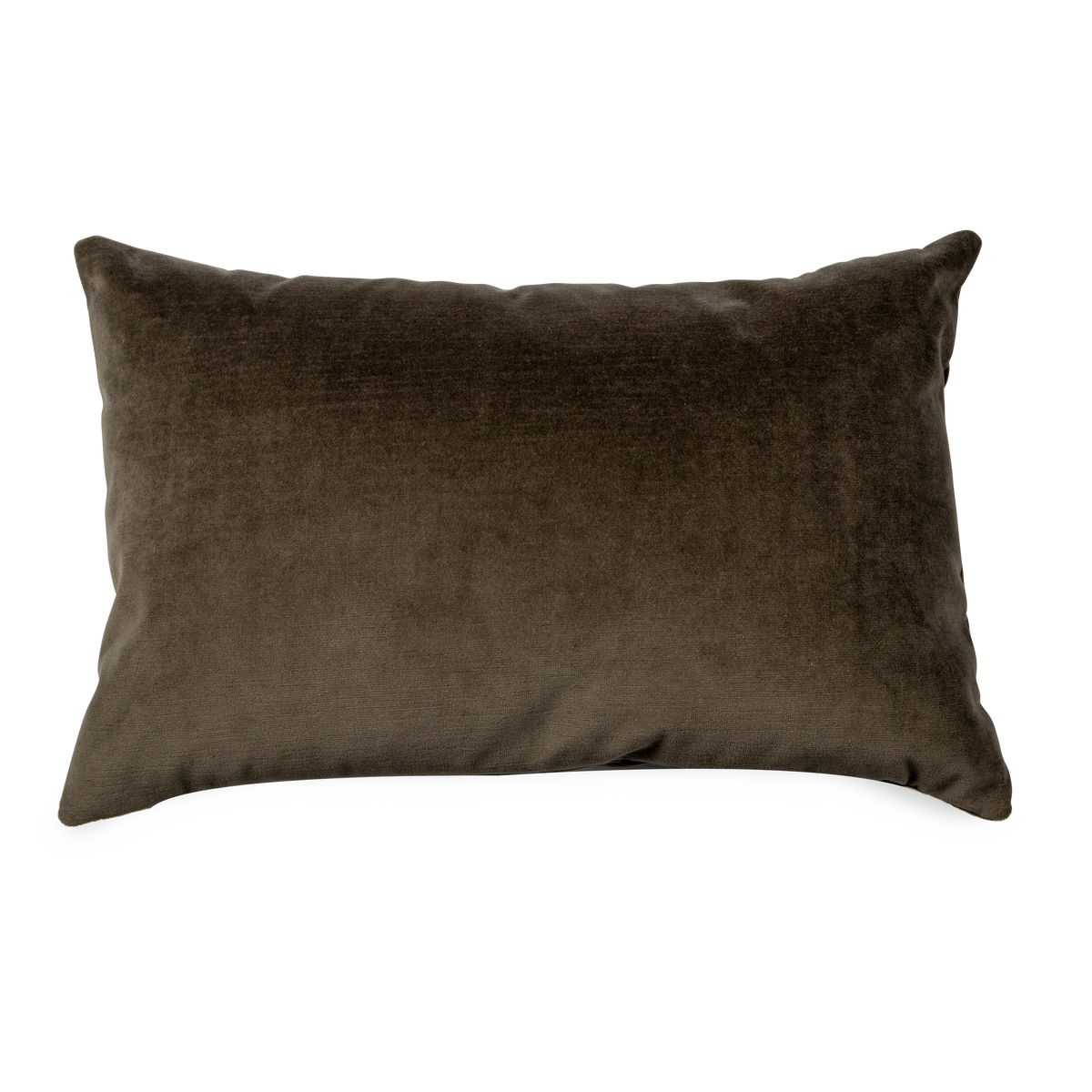 Solid Velvet Pillow