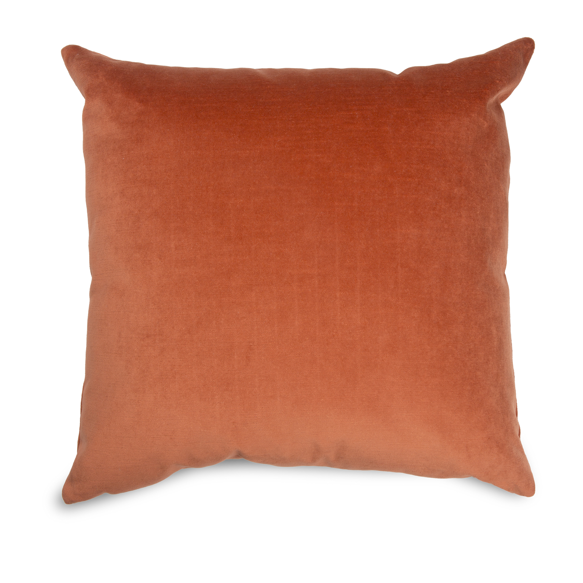 Defined by its textural appeal, the Solid Velvet Pillow is recognized for its luxurious velvet texture and its pleasant solid colour.