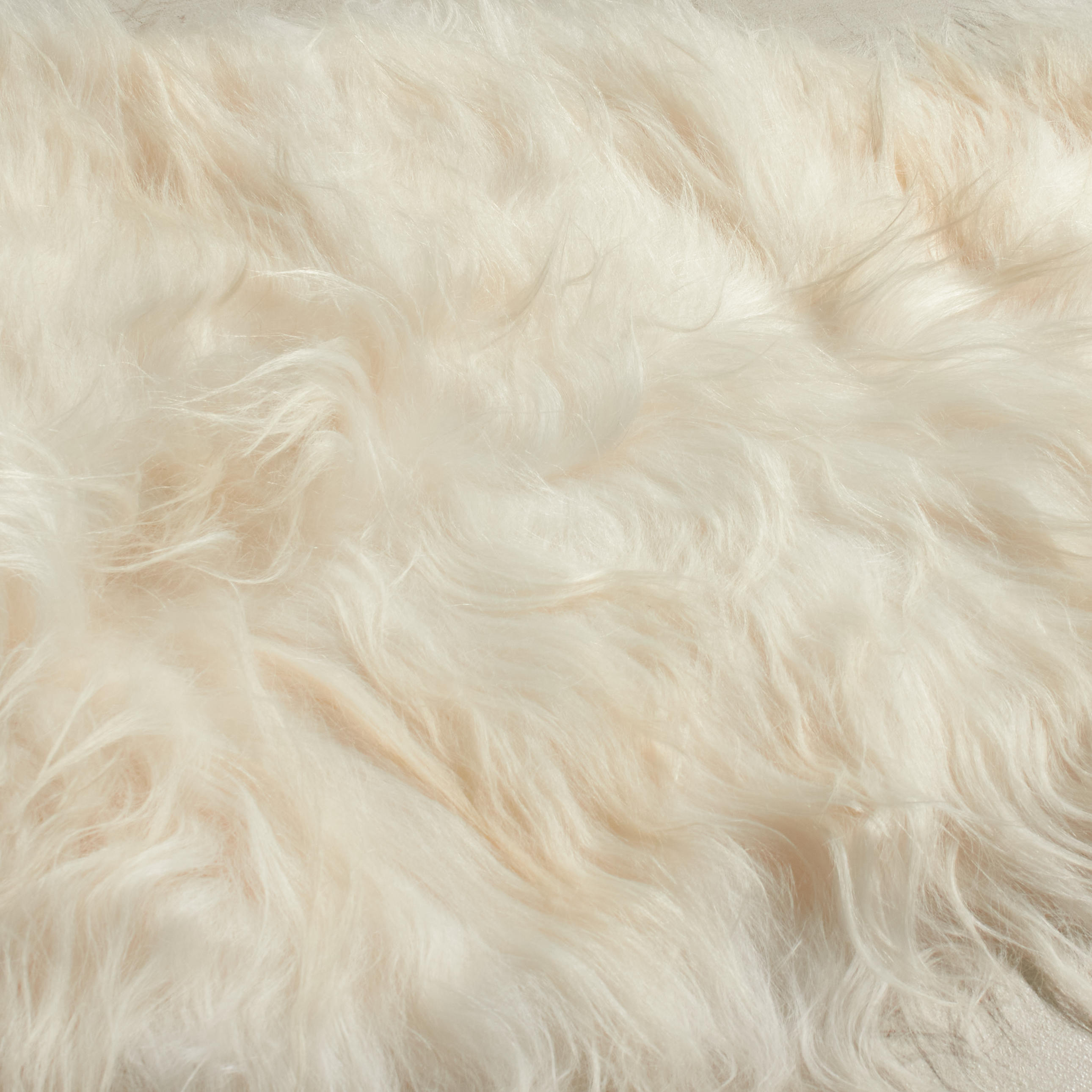 Adding a touch of natural and luxurious design, each English Sheepskin rug has its only unique shade of white.