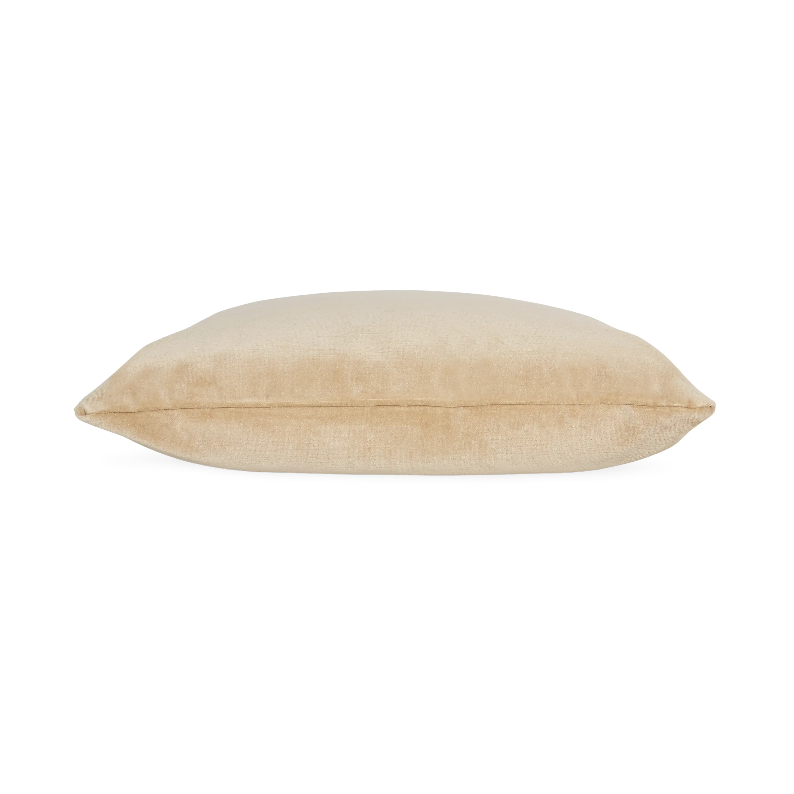 Solid Velvet Pillow