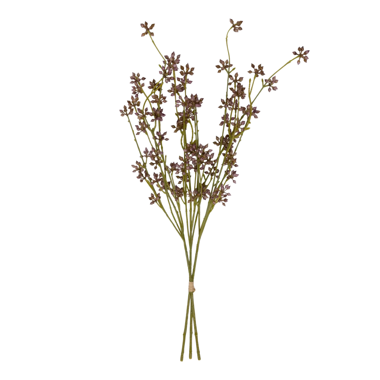 Artificial Succulent Branch Blush with slender green stems and clusters of muted blush-toned buds in an airy branching form.