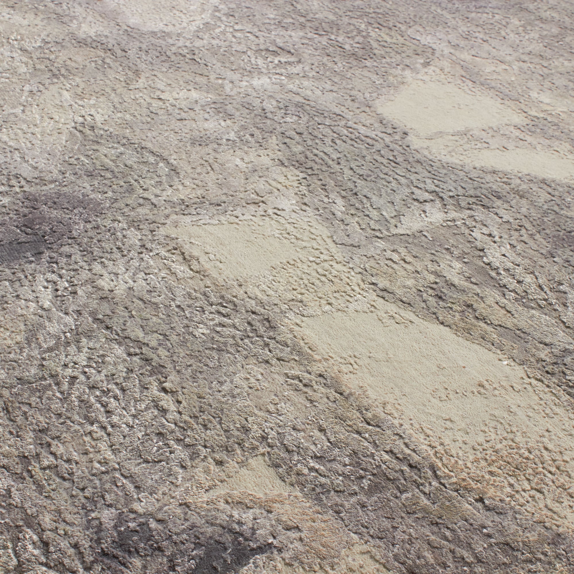 Introducing a vibrant new rug collection created in partnership with New York-based textile design studio Eskayel.