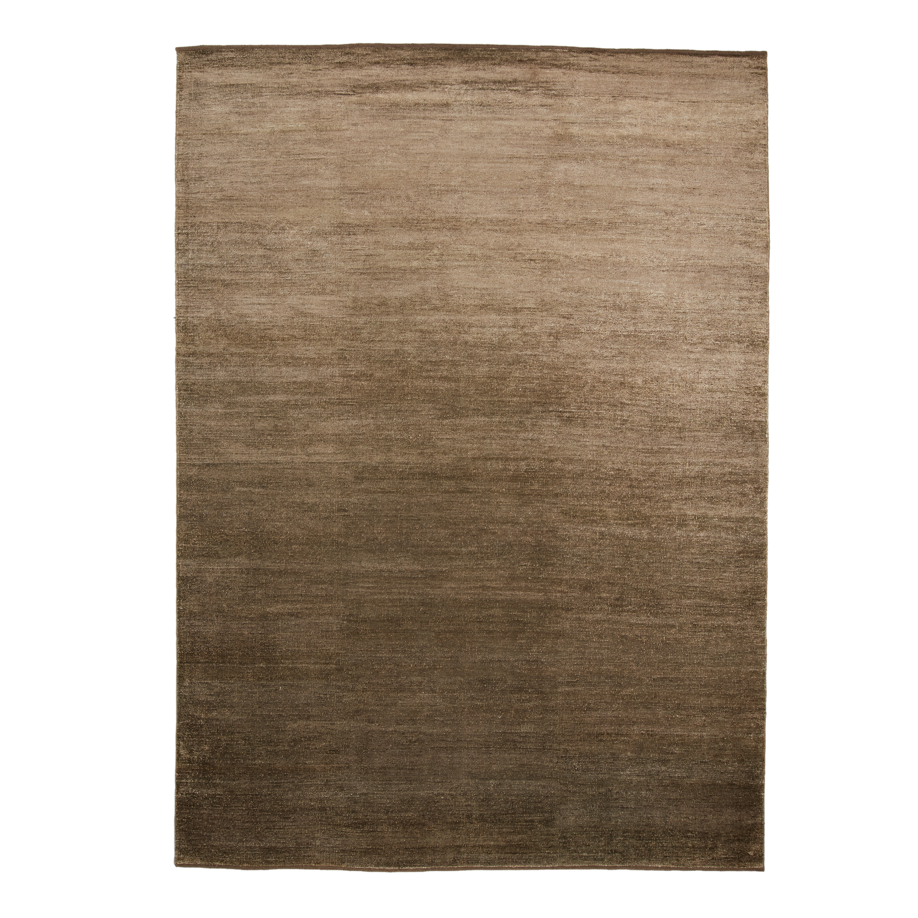Midori Olive