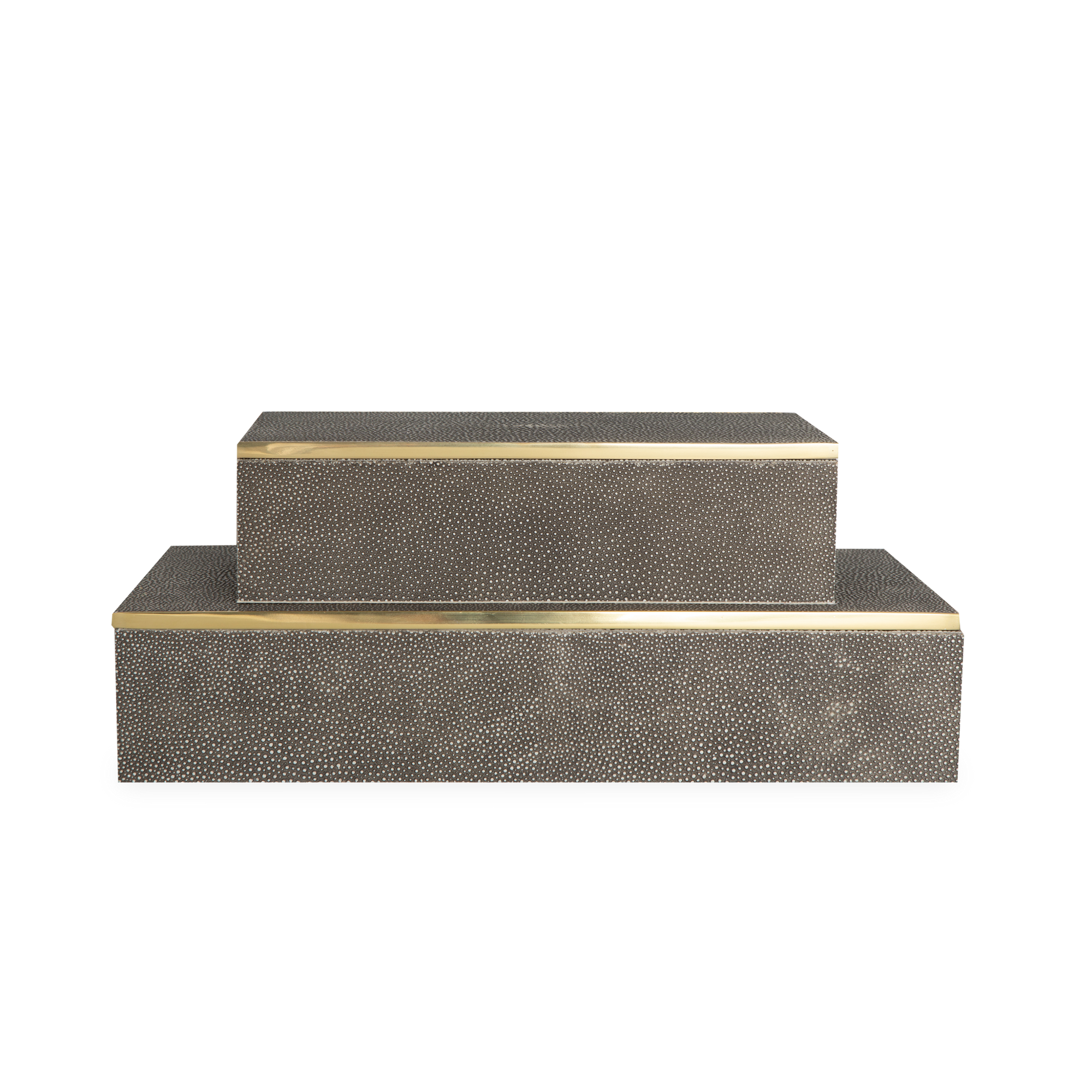 Stay organized with this  box wrapped in luxurious shagreen with brass accents and velvet backing.