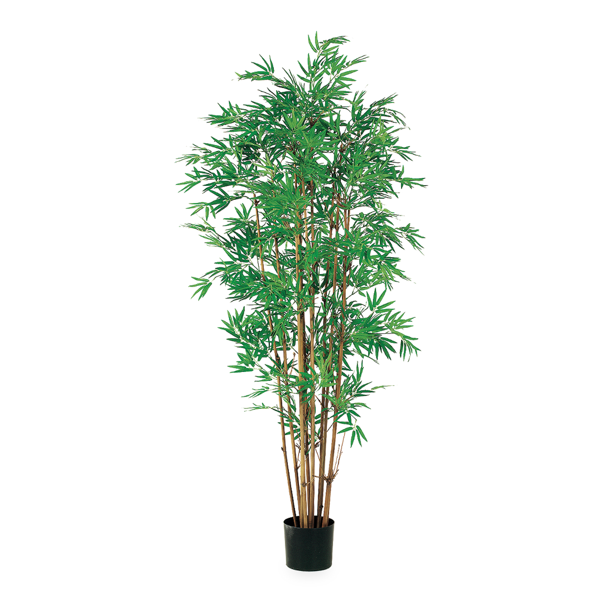 This lifelike Japanese Bamboo Tree adds elegance and greenery to any room.