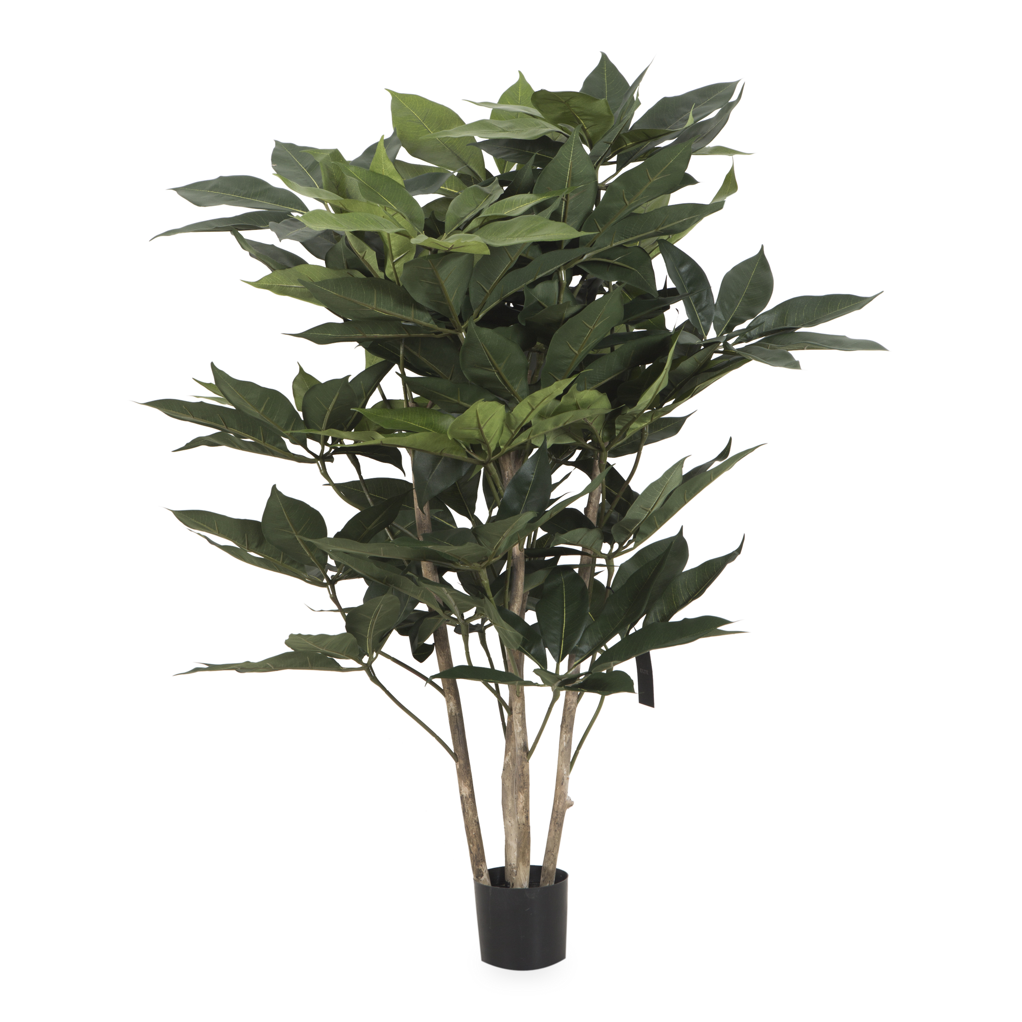 Stunningly beautiful, this Schefflera Tree was created with high-quality materials to replicate the real tree.
