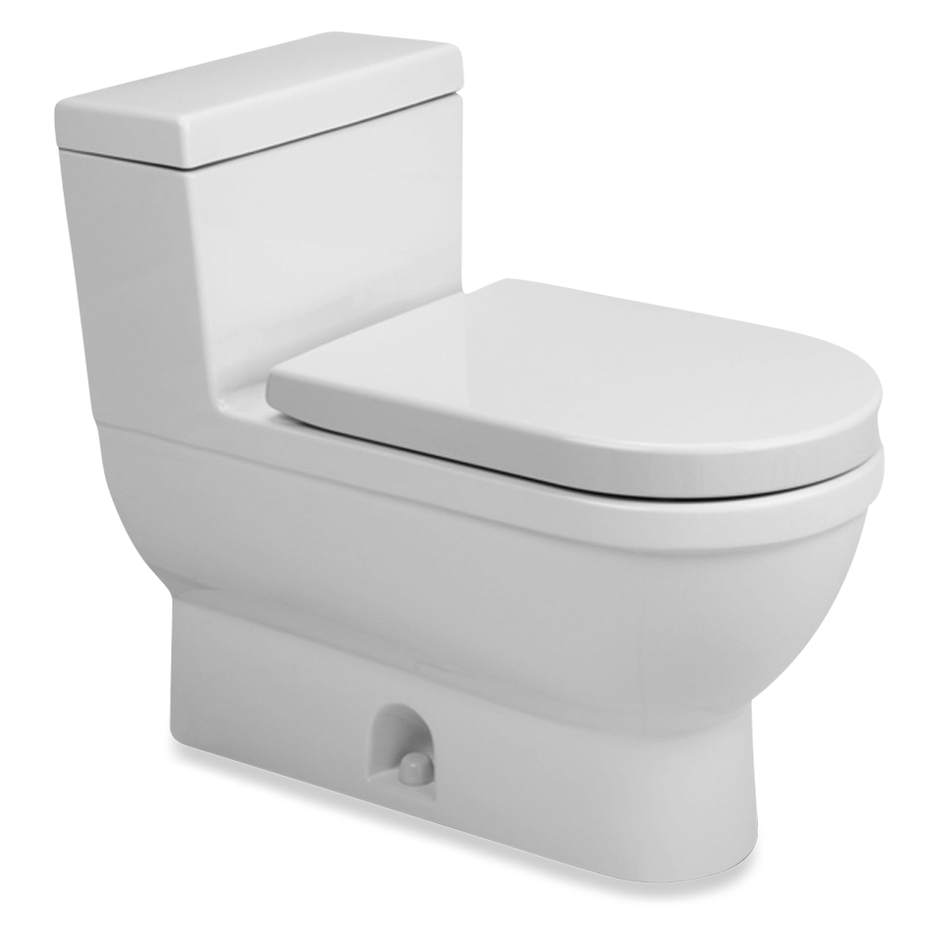 A modern style one-piece toilet.
